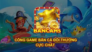 Bancah5 - Nơi thể hiện đẳng cấp của các ngư thủ chuyên nghiệp